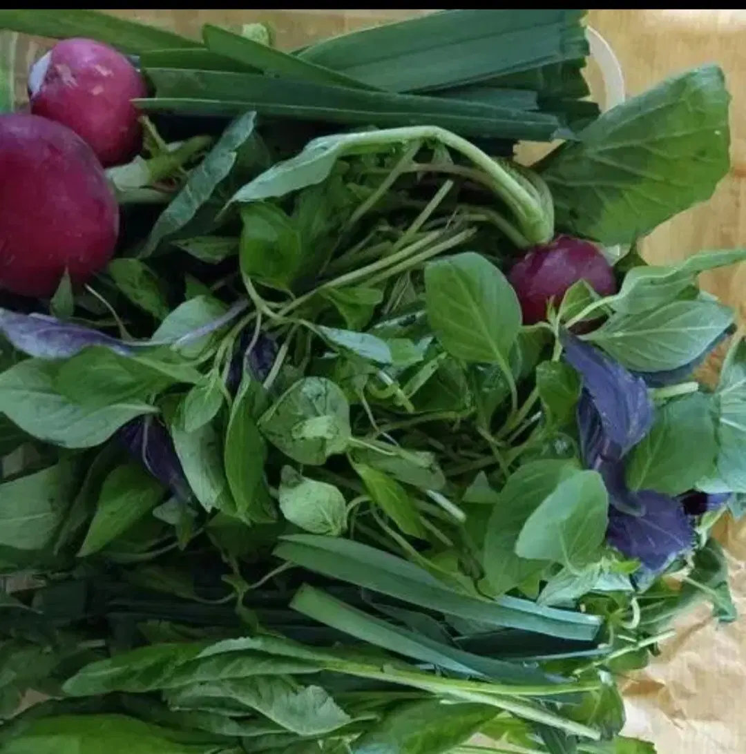 سبزی|خوردنی و آشامیدنی|بندر ماهشهر, |دیوار