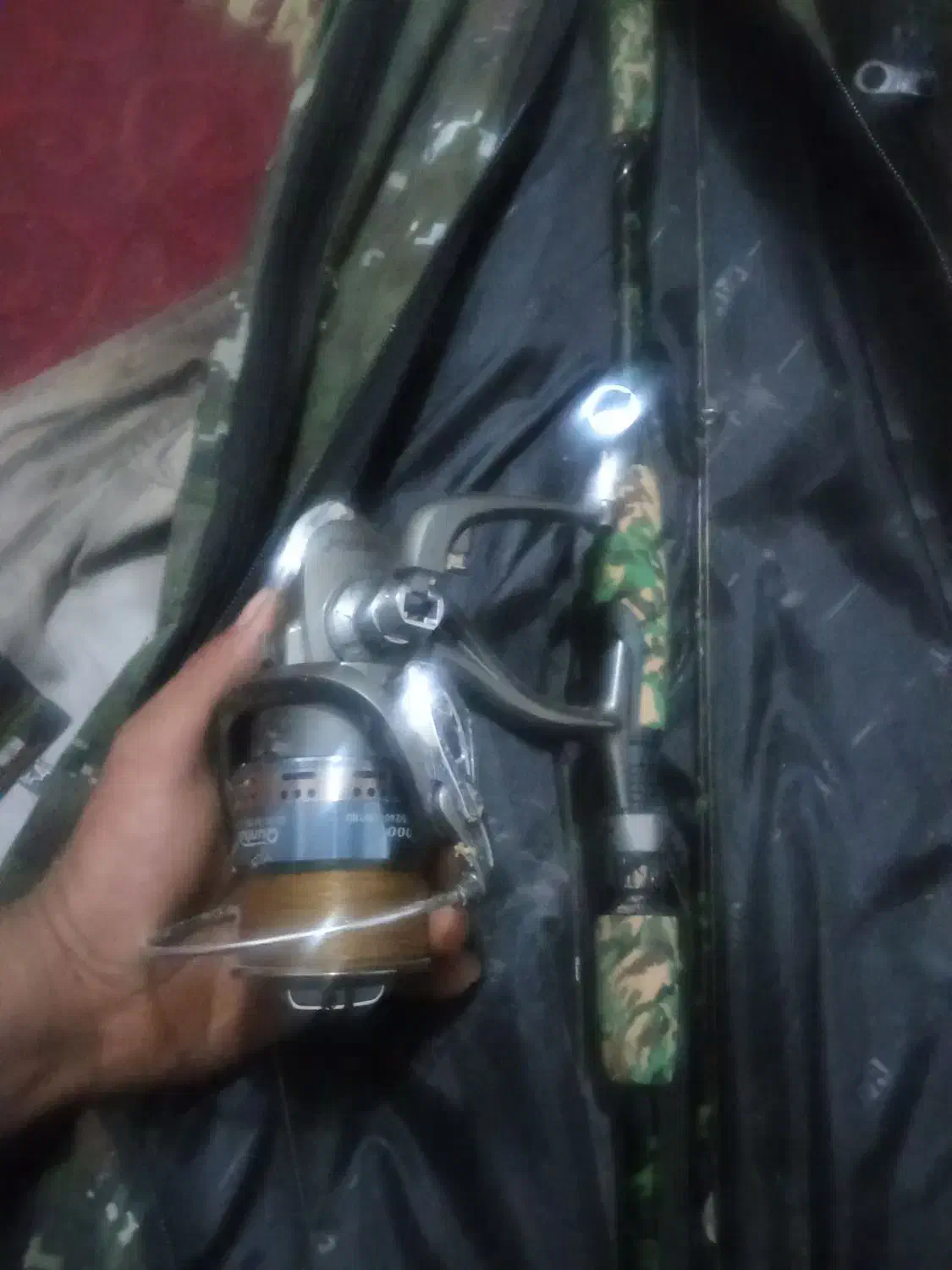 لنسر ماهی گیری|ماهیگیری|اصفهان, ناصرخسرو|دیوار