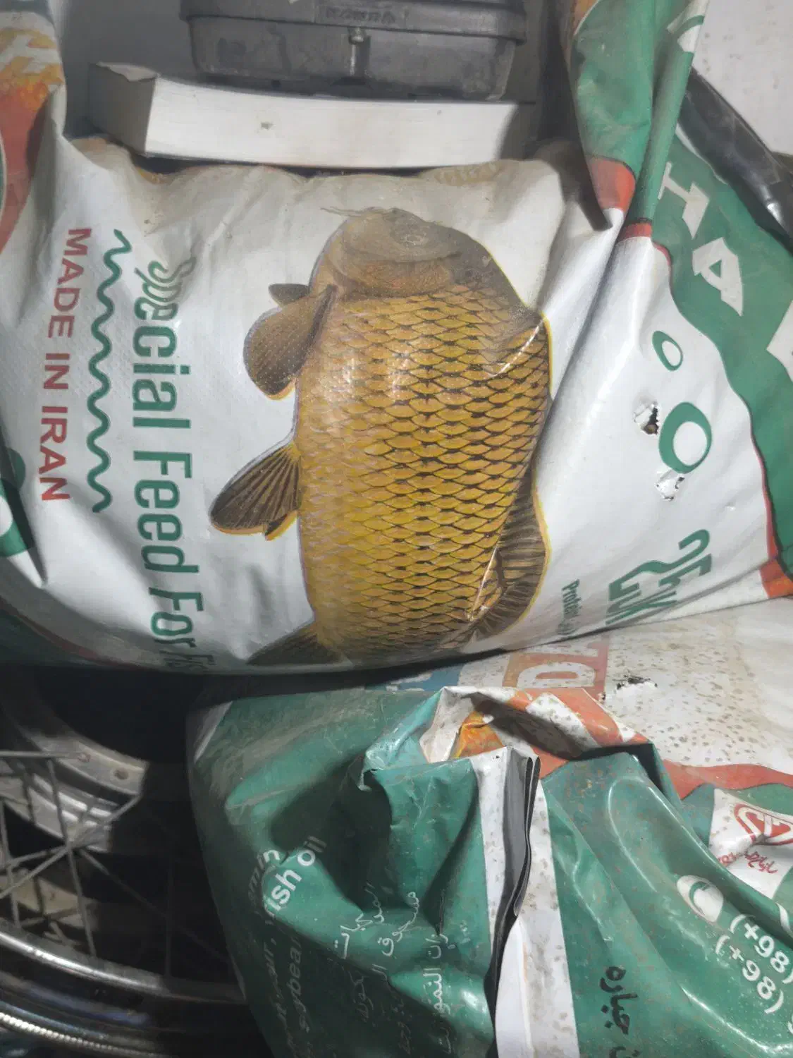 غذا ماهی|ماهی|قم, کیوانفر|دیوار