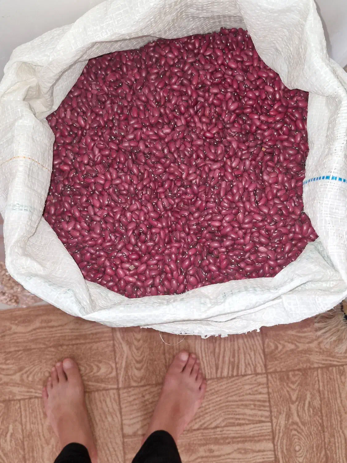 لوبیاقرمز|خوردنی و آشامیدنی|محمدیه-قزوین, |دیوار