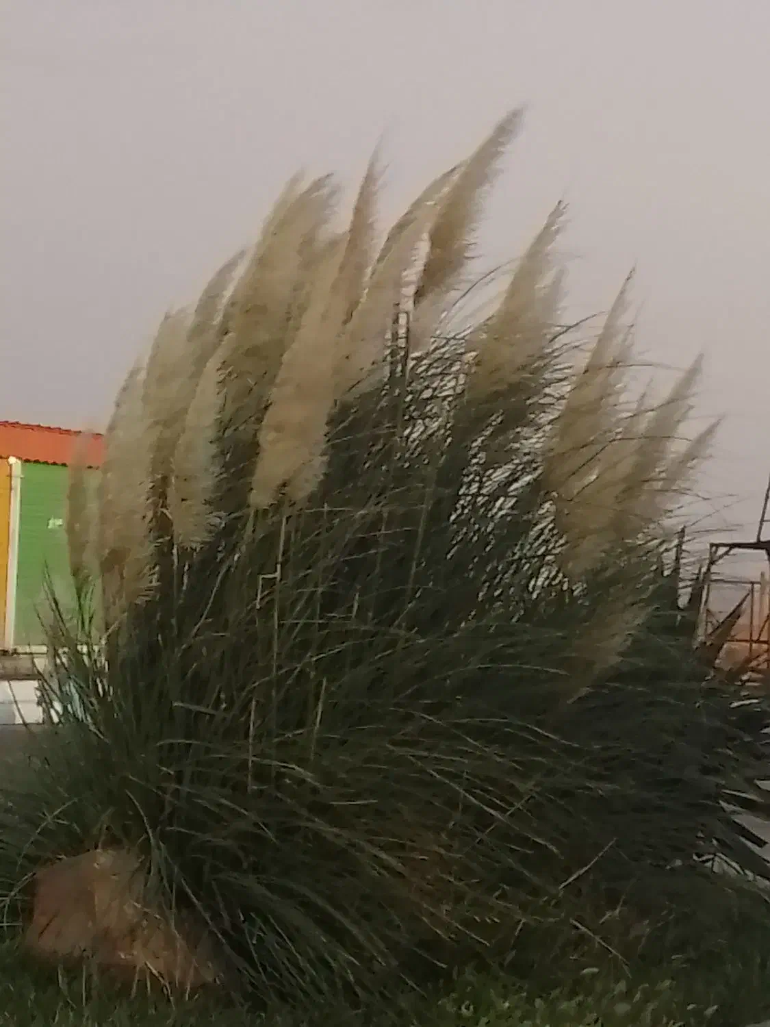 مدارک گم شده|کیف، کفش، کمربند|نیشابور, شهید جعفری|دیوار