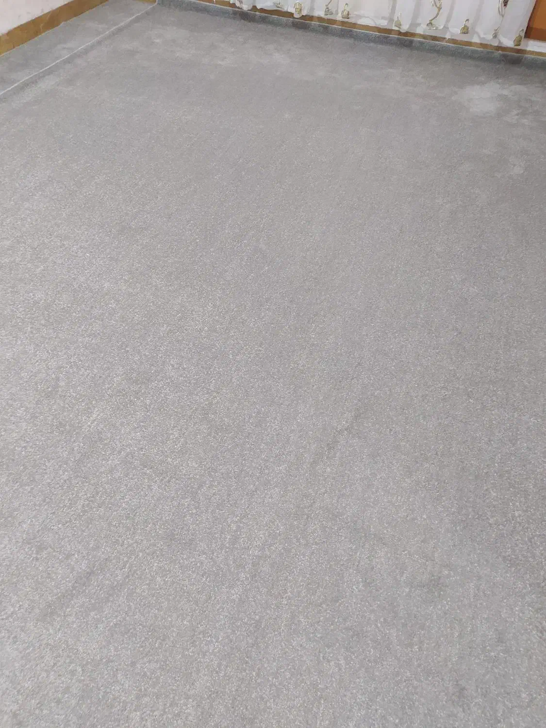 موکت پالاز رنگ طوسی|موکت|ایلام, |دیوار