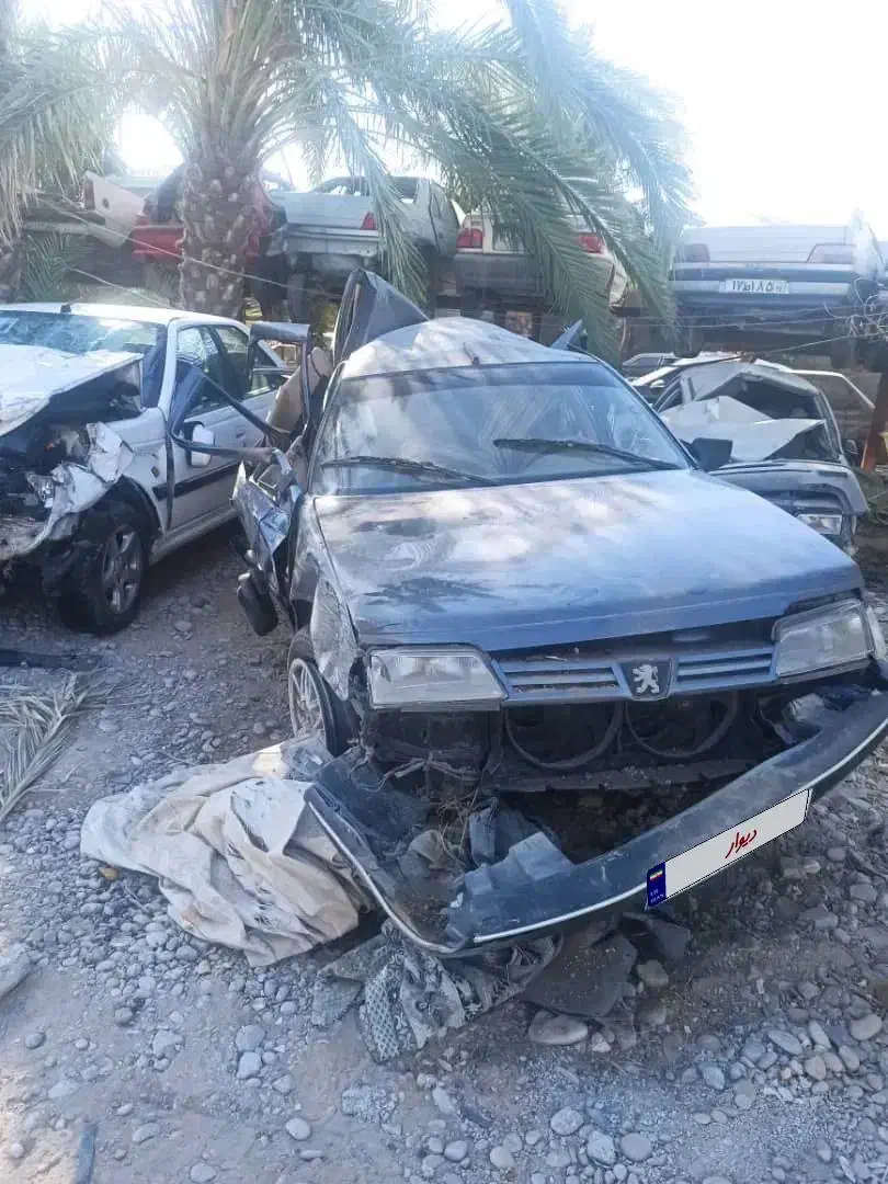 پژو ۴۰۵مدل۹۴|خودرو سواری و وانت|آبپخش, |دیوار