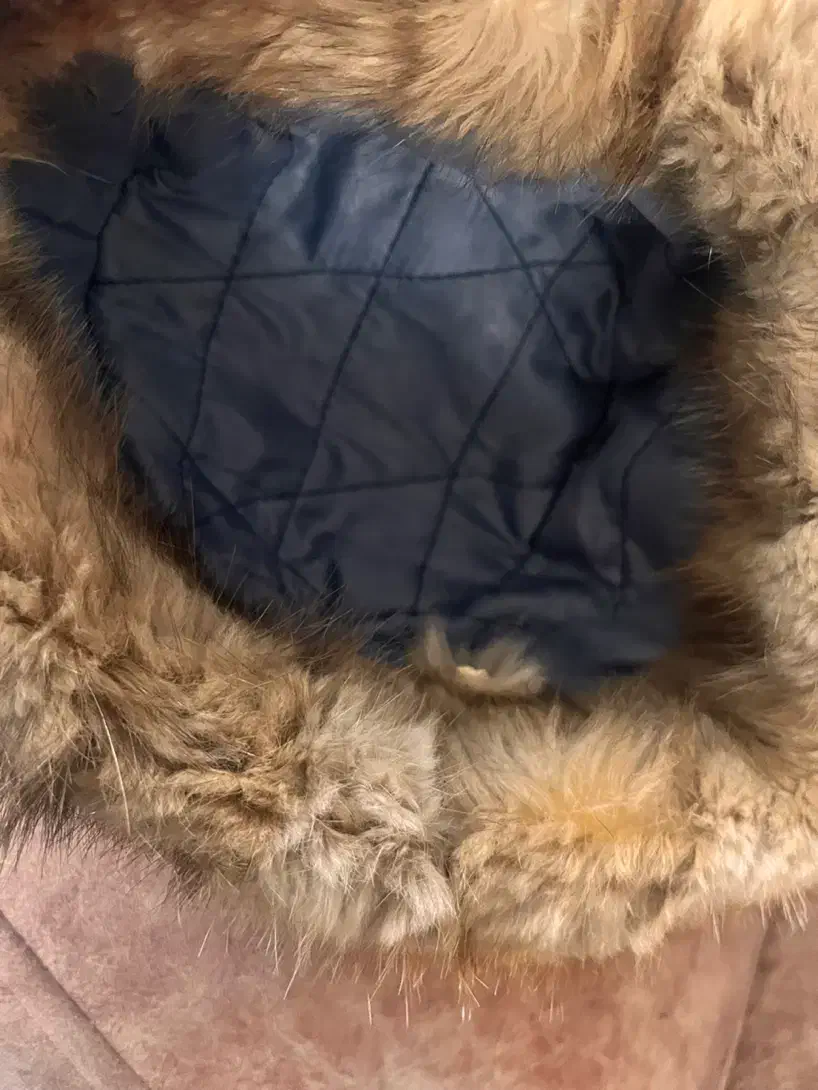 کلاه زنانه|لباس|تبریز, |دیوار