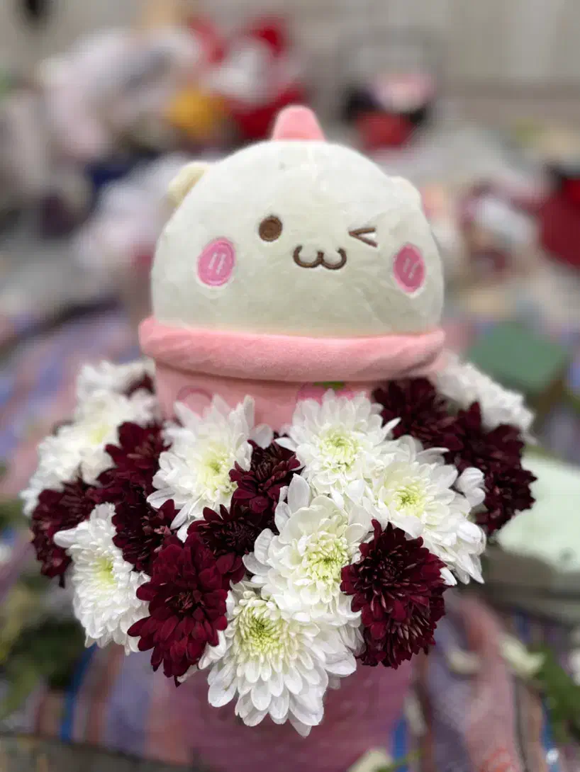 گل طبیعی|گل و گیاه طبیعی|اهواز, پادادشهر|دیوار