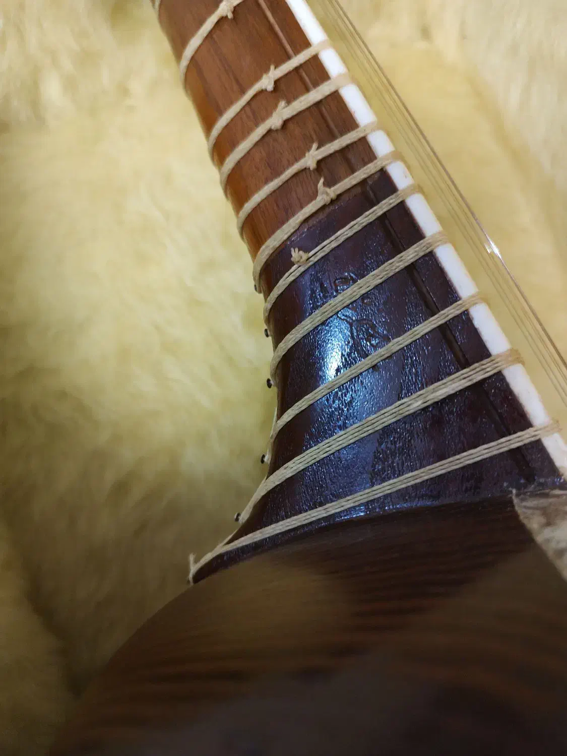 تار فرامرز شکرخواه|سازهای سنتی|تهران, سازمان آب|دیوار