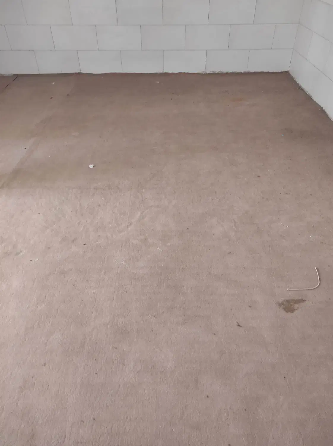 موکت|موکت|قزوین, |دیوار