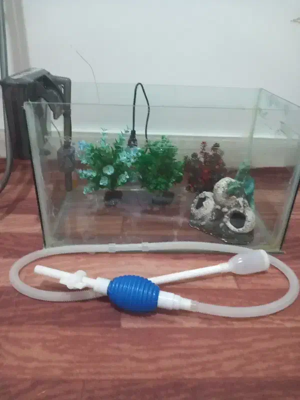 آکواریوم و تمام وسایل درون آکواریوم|ماهی|پیرانشهر, |دیوار