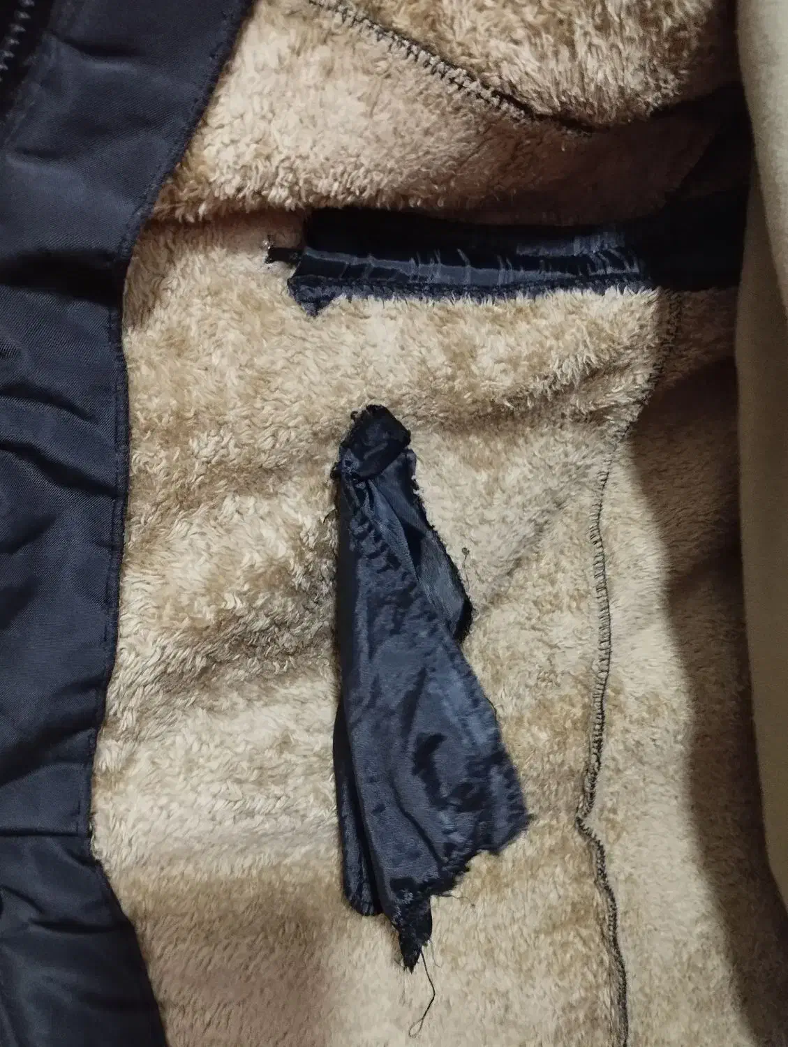 کاپشن|لباس|مشهد, کوی المهدی|دیوار