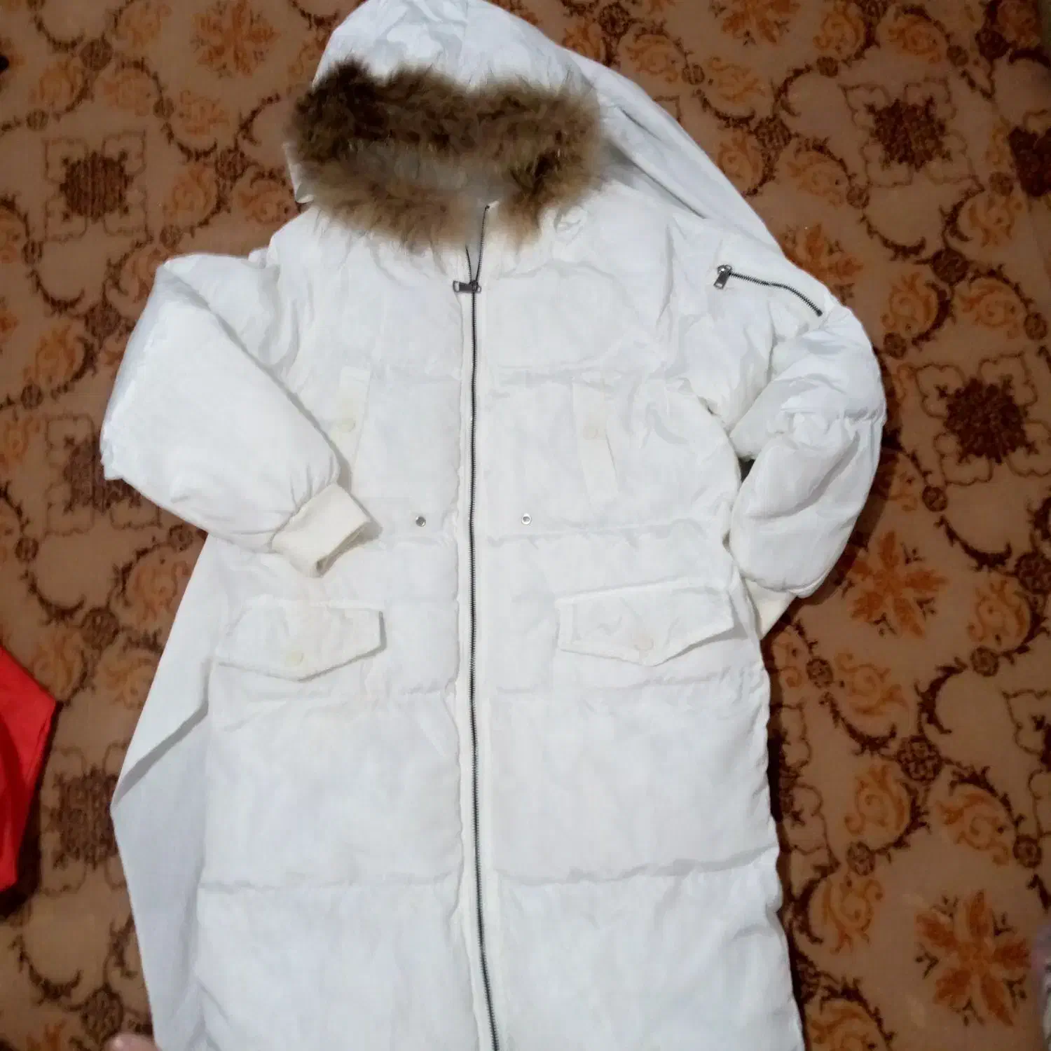 کاپشن پالتو|لباس|جوانرود, |دیوار