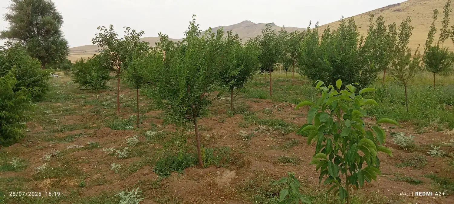 باغ ۴۰۰۰ متری آب لوله کشی مجوز رسمی سرمایه گذاری|فروش خانه و ویلا|بلبان آباد, |دیوار