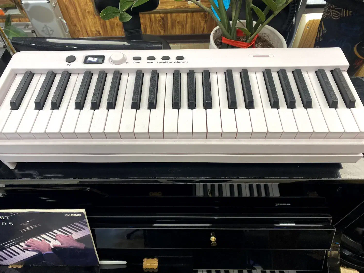 ساز|سازهای بادی|تهران, بهارستان|دیوار