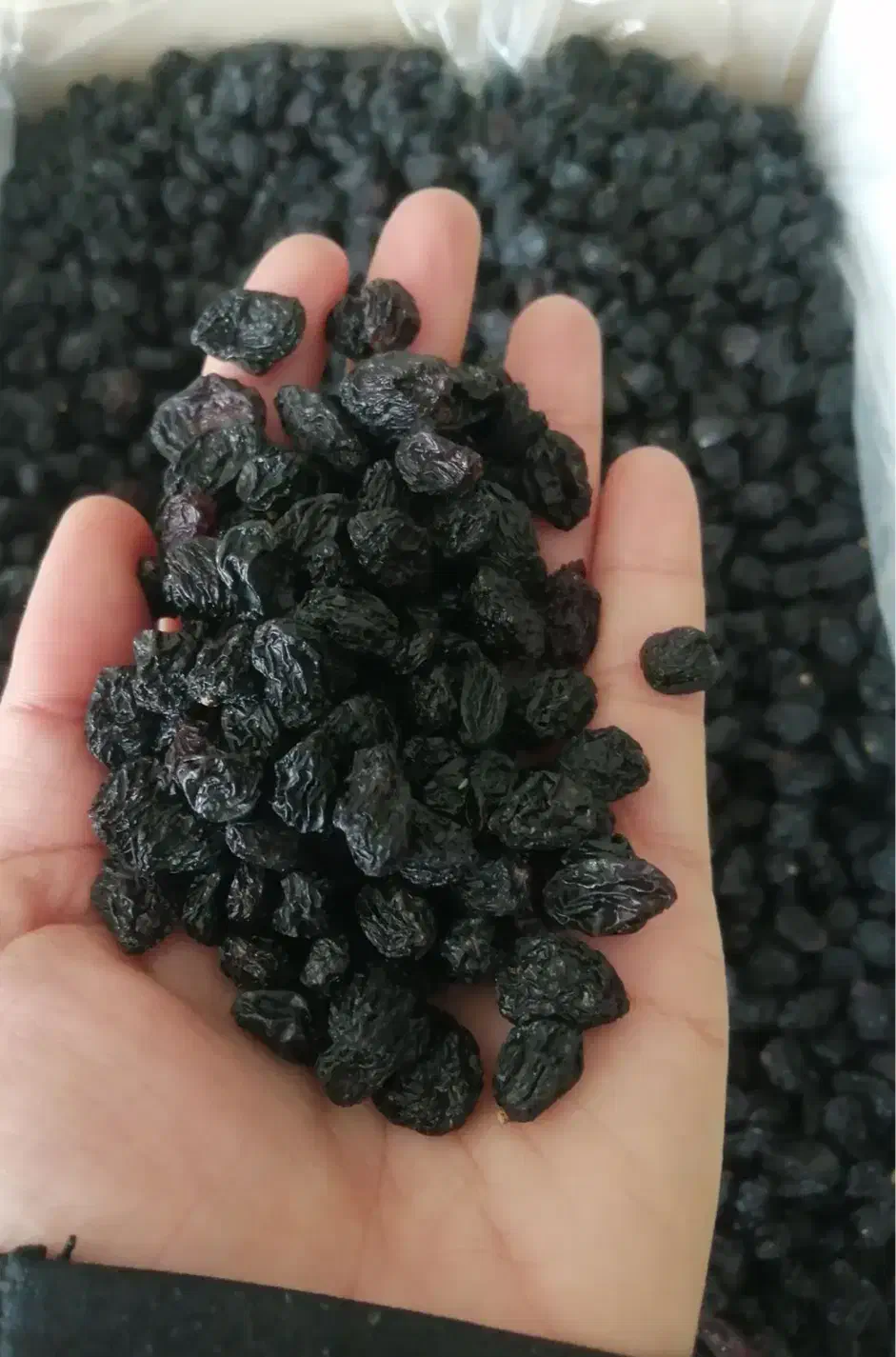 کشمش و مویز کاشمر|خوردنی و آشامیدنی|سبزوار, توحیدشهر|دیوار