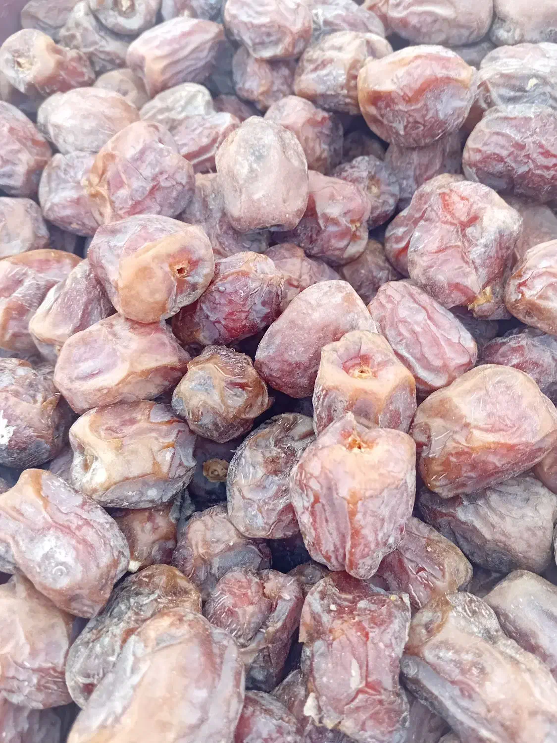 خرمای مرداسنگ|خوردنی و آشامیدنی|فاریاب, |دیوار