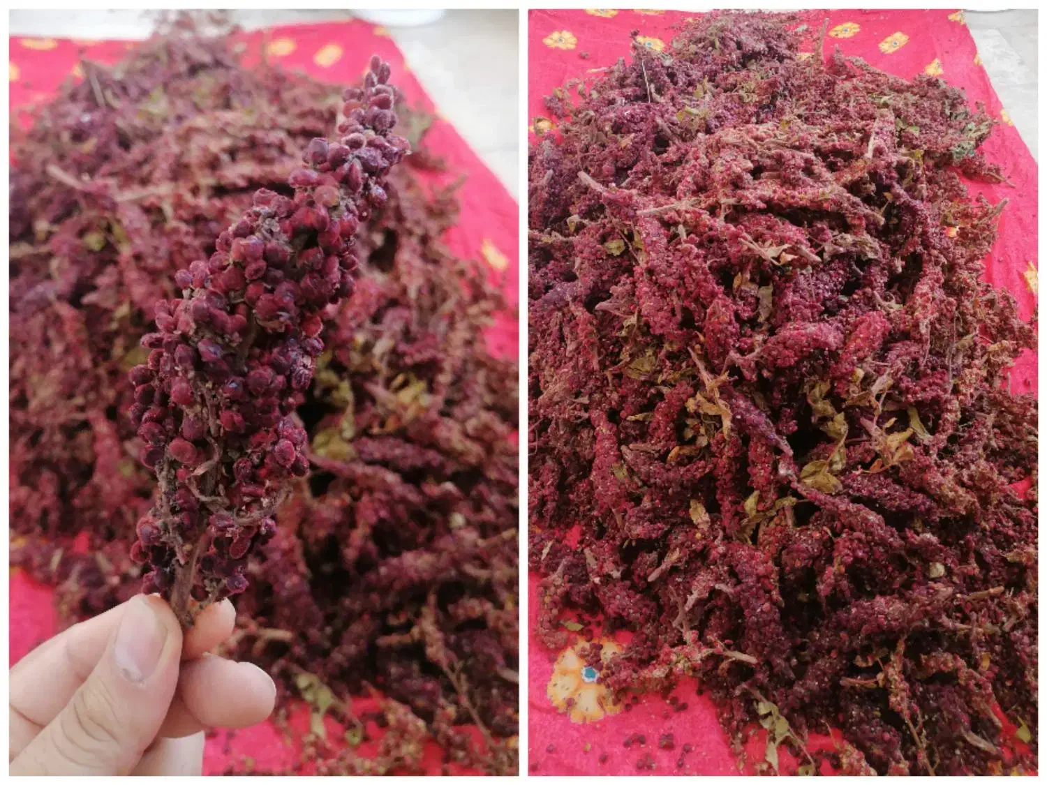 سماق اعلاء|خوردنی و آشامیدنی|اشتهارد, |دیوار