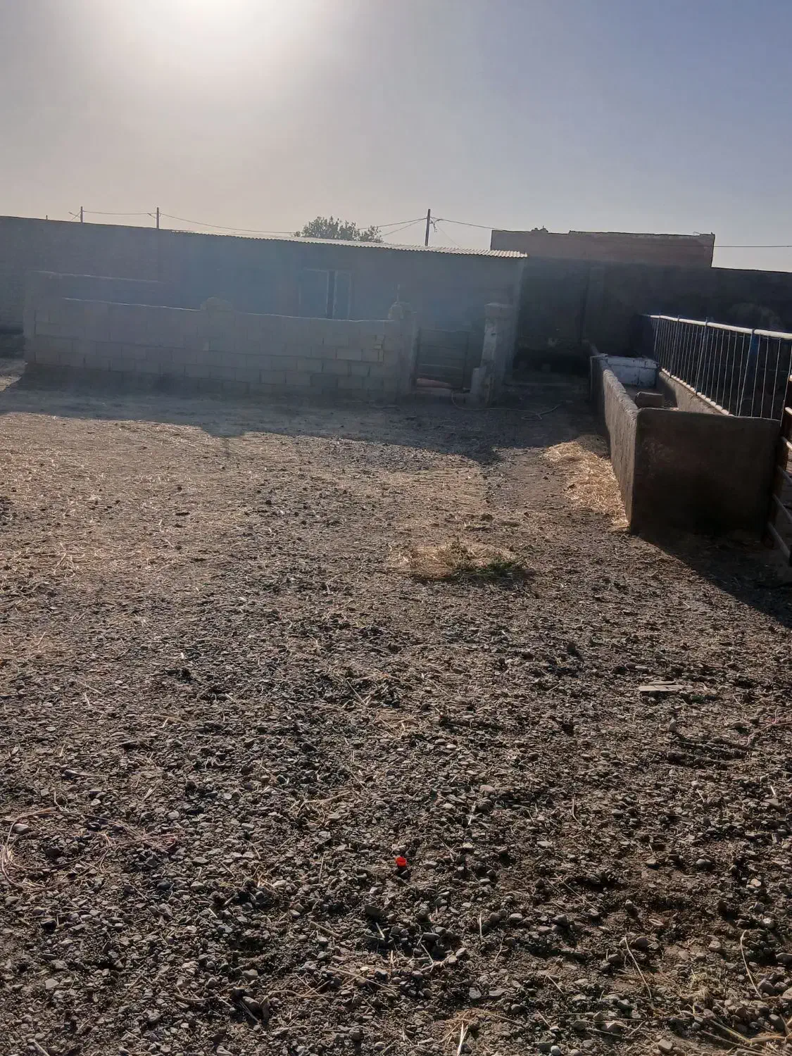 فروش|فروش دفتر صنعتی، کشاورزی، تجاری|تربت جام, جامرود|دیوار