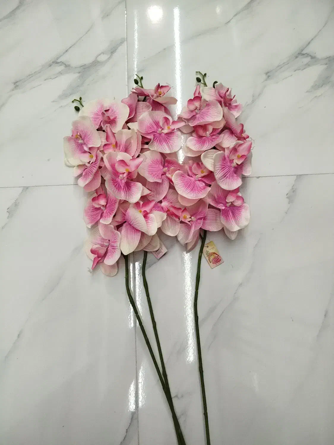 گل محمدی و ارکیده|گل مصنوعی|تبریز, |دیوار