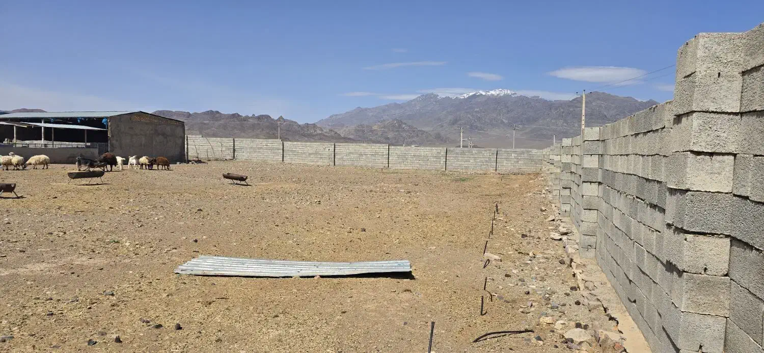 فروش دامداری ۵۰۰۰ متری نوساز|فروش زمین و ملک کلنگی|نطنز, |دیوار