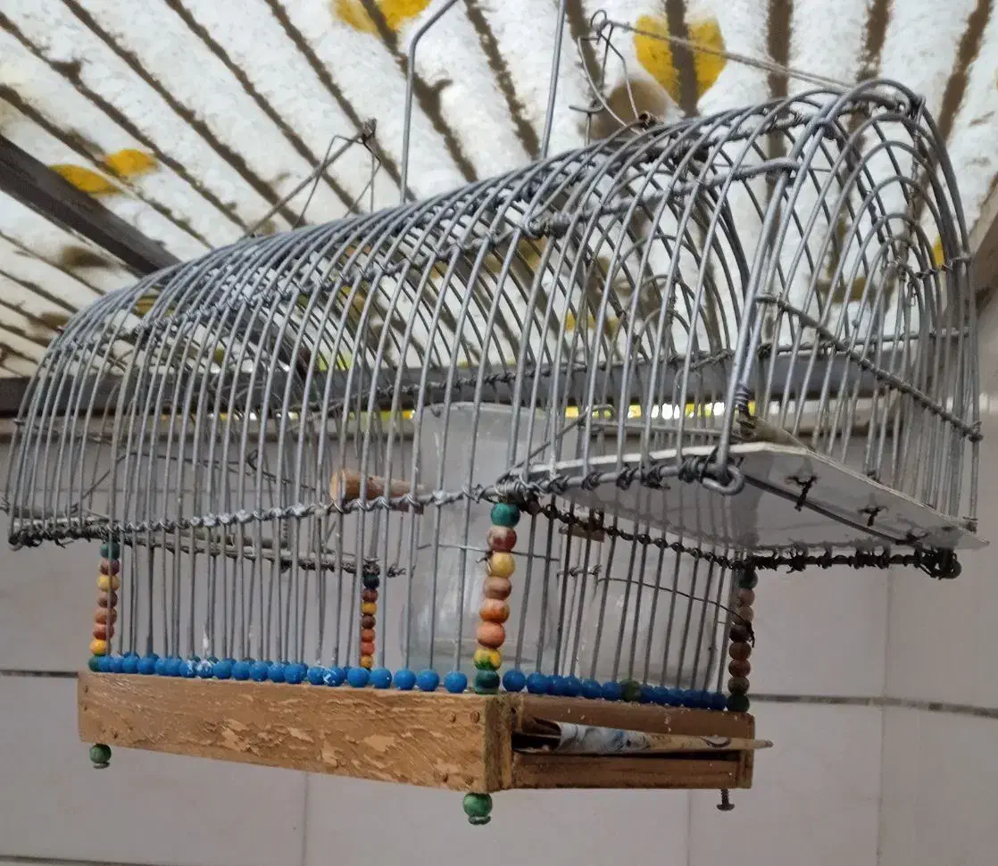 قفس تله دستساز|لوازم جانبی حیوانات|الوند, |دیوار