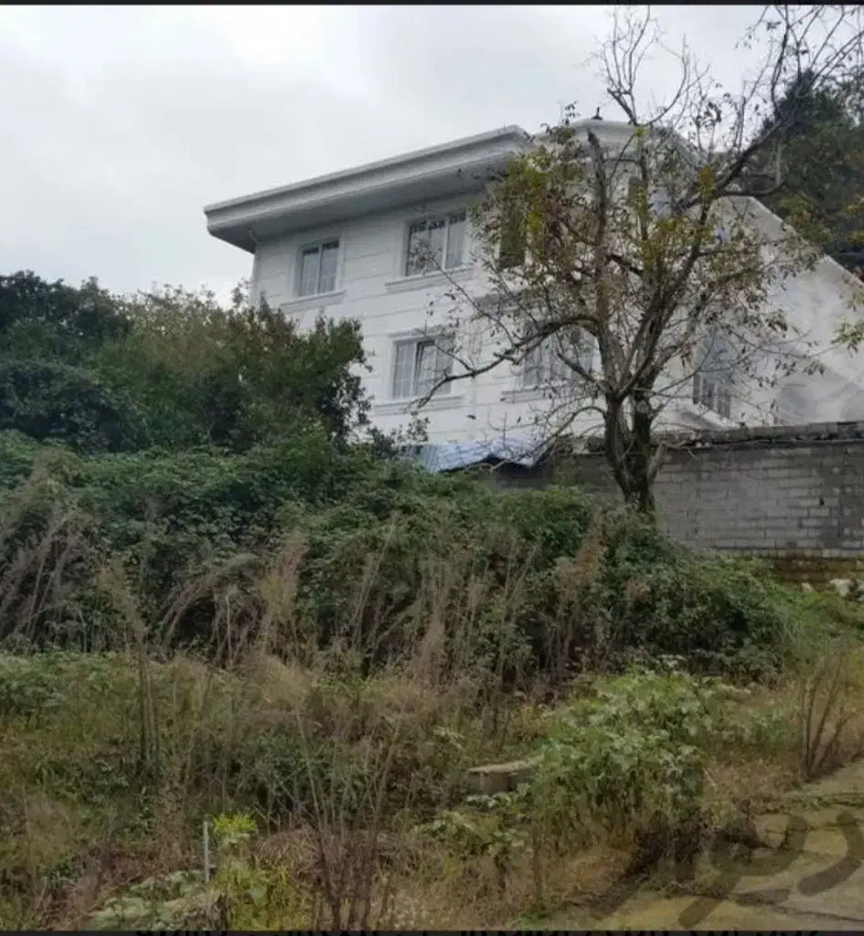 لنگرود ۲۶۰ متر زمین|فروش زمین و ملک کلنگی|کومله, |دیوار