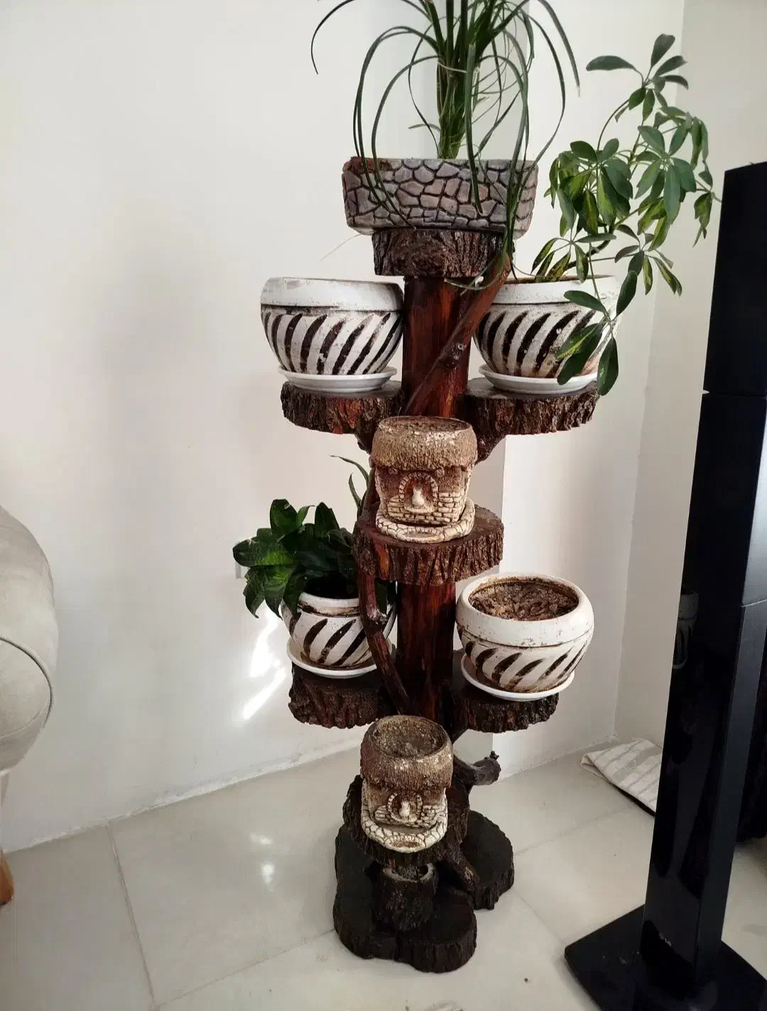 استند گل تنه ی درخت|گل و گیاه طبیعی|محمدیه-قزوین, |دیوار