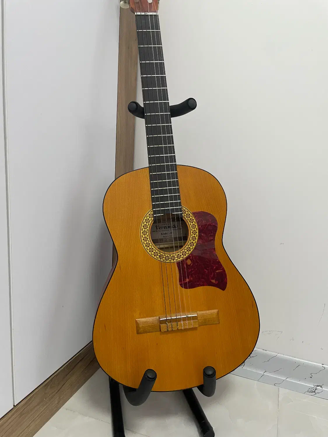 گیتار|گیتار، بیس، امپلیفایر|رشت, فلسطین|دیوار