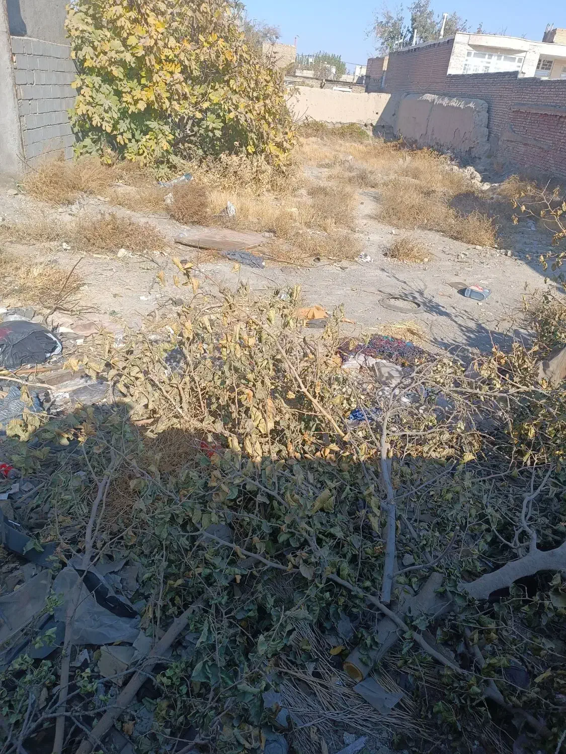 زمین مسکونی|فروش زمین و ملک کلنگی|رادکان, |دیوار