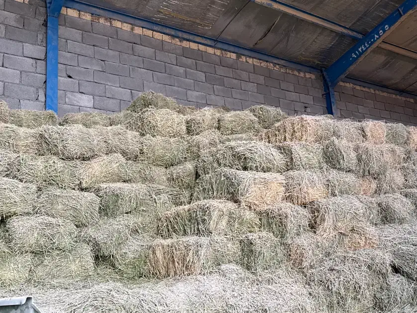 یونجه خشک انباری|عمدهفروشی|ماهیدشت, |دیوار