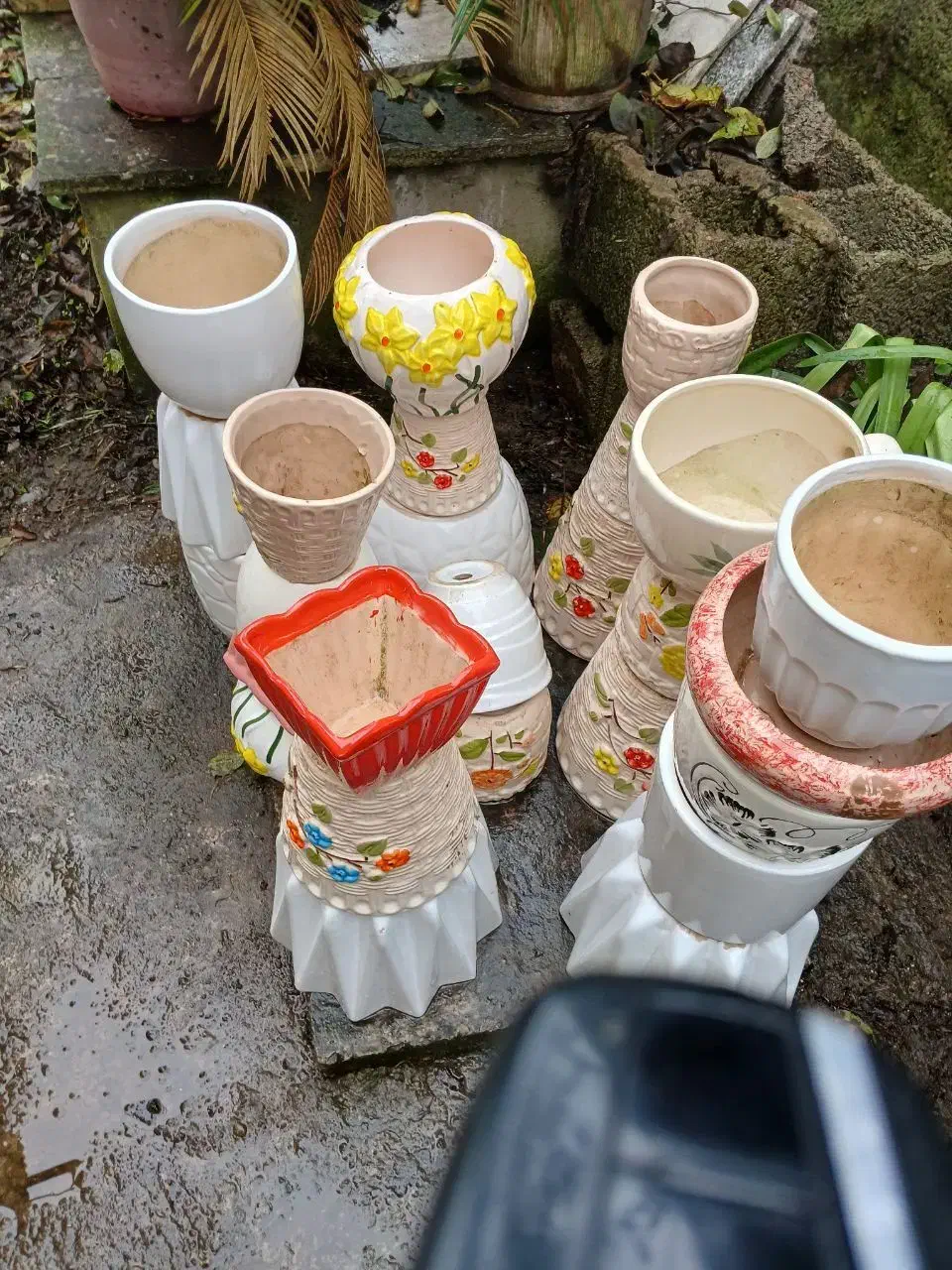 گلدان های سفالی سالم|گل و گیاه طبیعی|لاهیجان, کوی خزر|دیوار