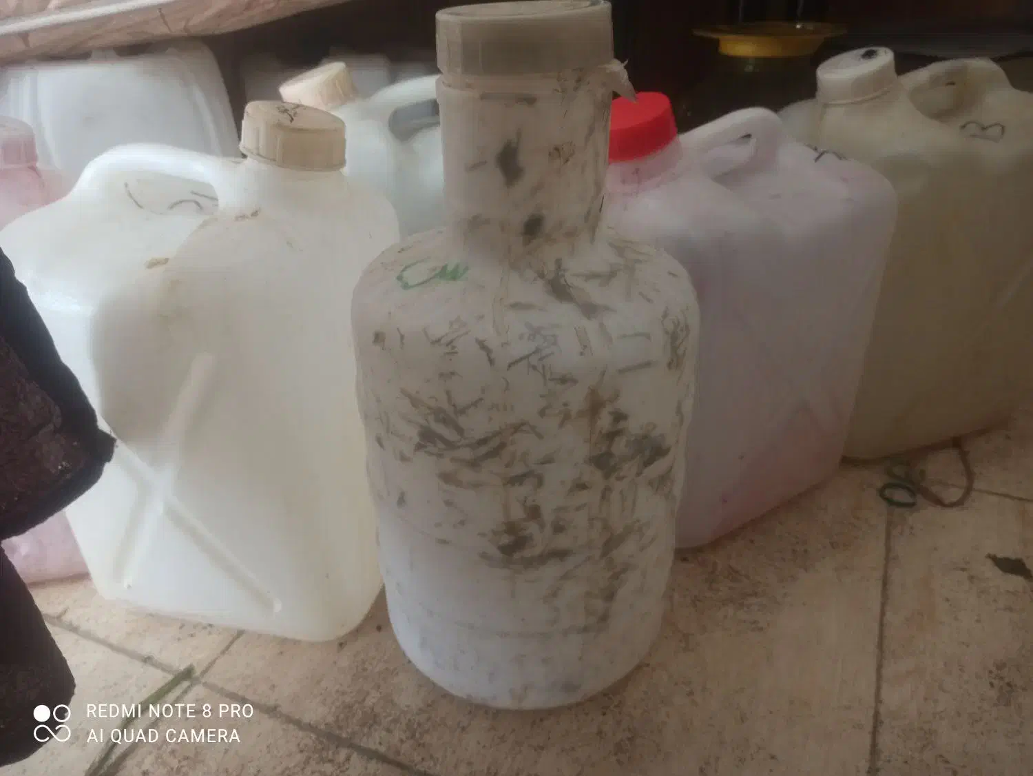 دبه|ظروف نگهدارنده، پلاستیکی، یک‌بارمصرف|گرگان, |دیوار