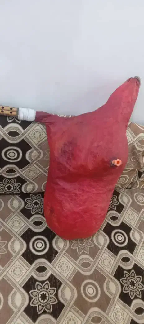 نی هنبول|سازهای بادی|آبادان, |دیوار