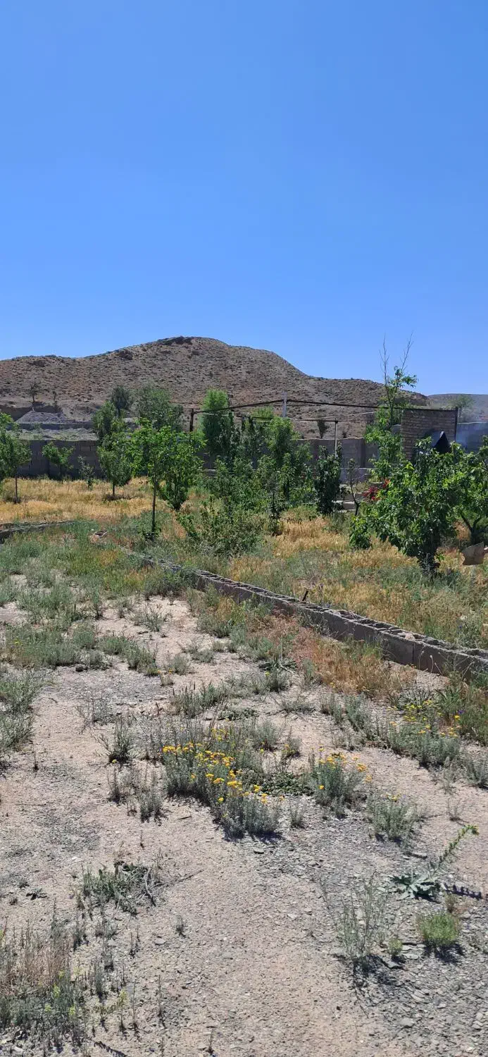 باغ گلمکان|فروش زمین و ملک کلنگی|گلمکان, |دیوار