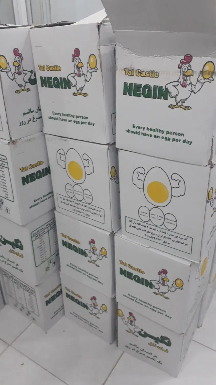 تخم مرغ ۱۲/۵ نگین و هاشم زاده|عمدهفروشی|سوسنگرد, |دیوار