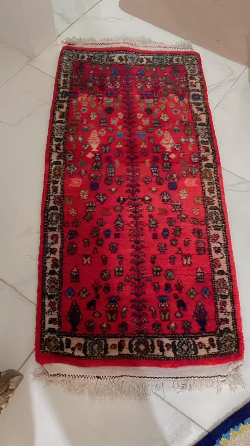 سه عدد قالیچه دستبافت|فرش|شیراز, شیخ علی چوپان|دیوار