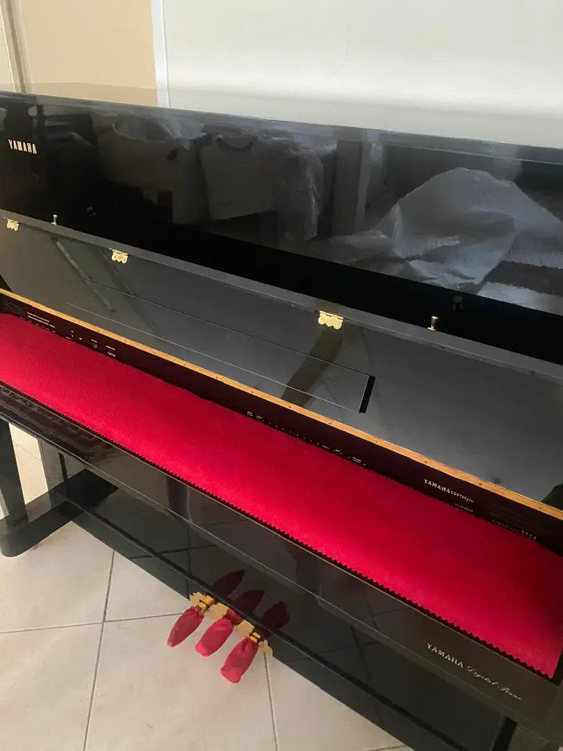 ydp 145|پیانو، کیبورد، آکاردئون|اراک, |دیوار