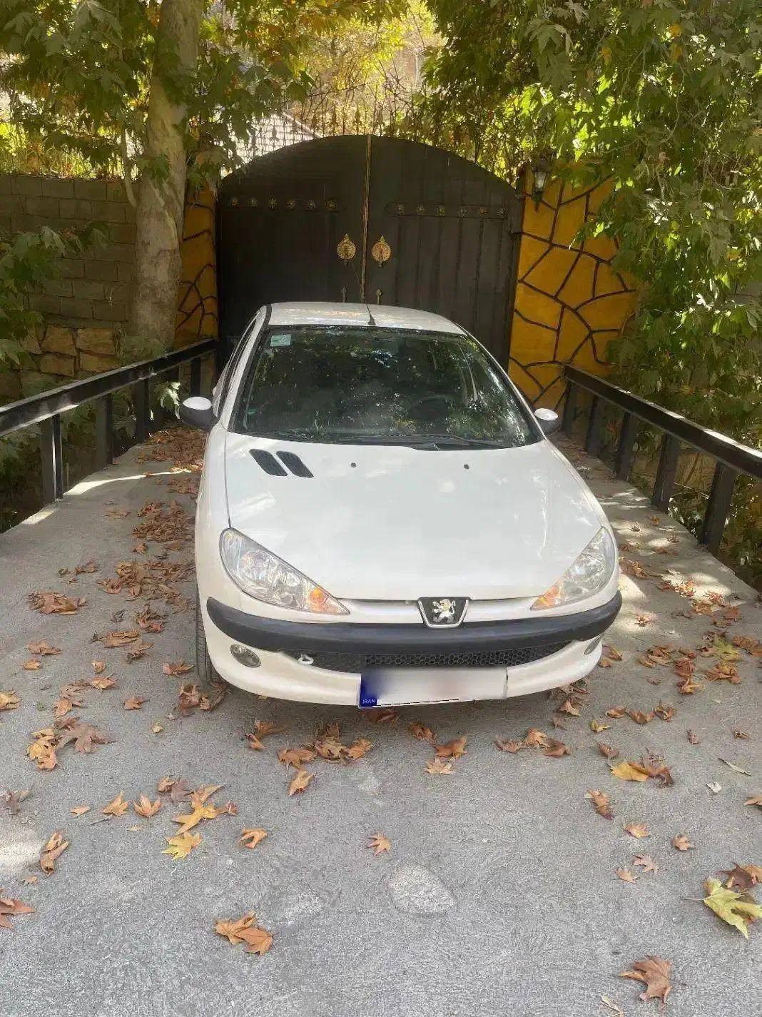 206 SD V20|خودرو سواری و وانت|مشهد, امام رضا (ع)|دیوار