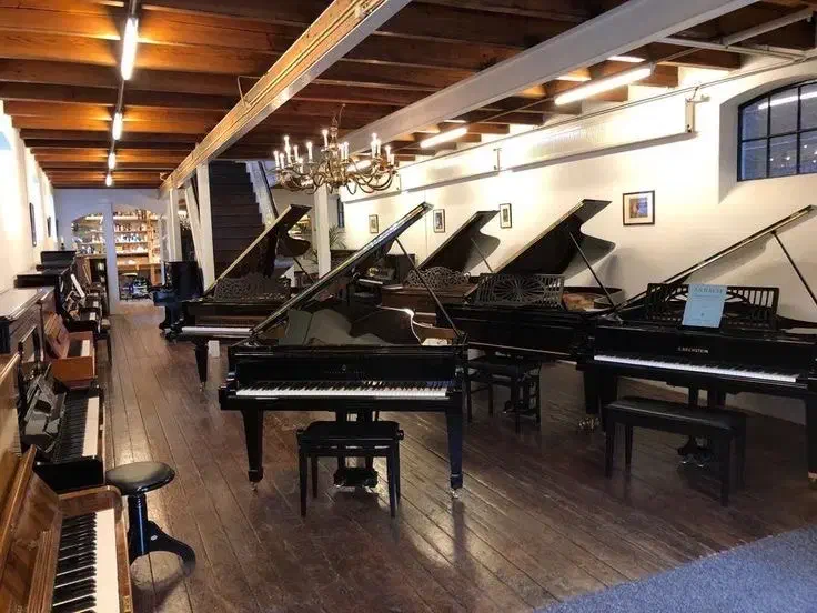 فروش انواع پیانو (آکوستیک،دیجیتال) با بهترین قیمت|پیانو، کیبورد، آکاردئون|مشهد, شهید فرامرز عباسی|دیوار