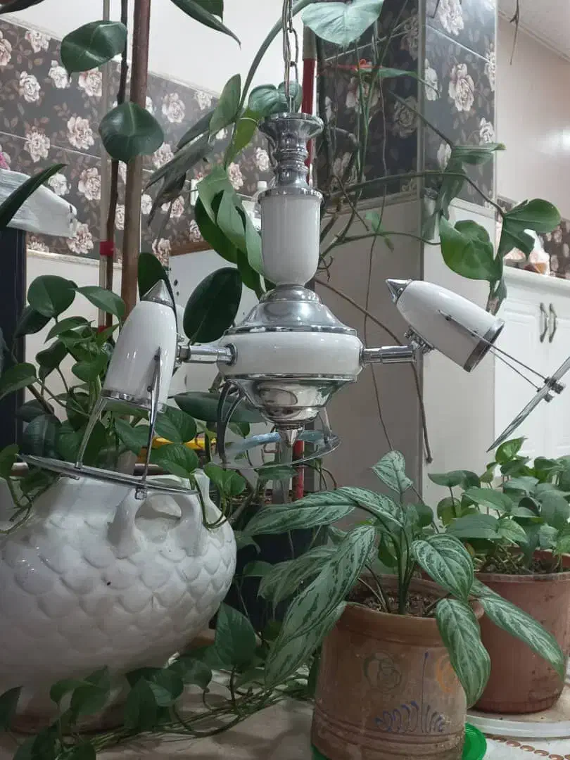 لوستر|لوستر و چراغ آویز|دزفول, |دیوار