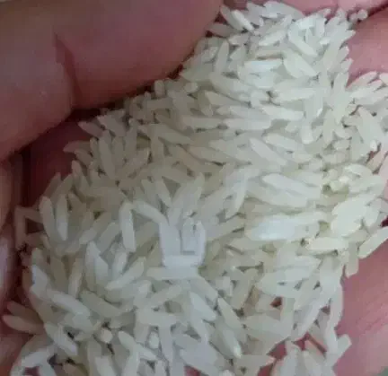 برنج ایرانی درجه یک علاء علاء|خوردنی و آشامیدنی|اهر, |دیوار