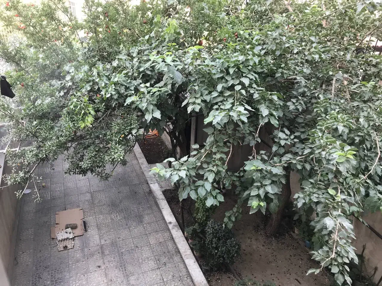 ملک کلنگی چهارراه استقلال|فروش زمین و ملک کلنگی|تهران, استقلال|دیوار