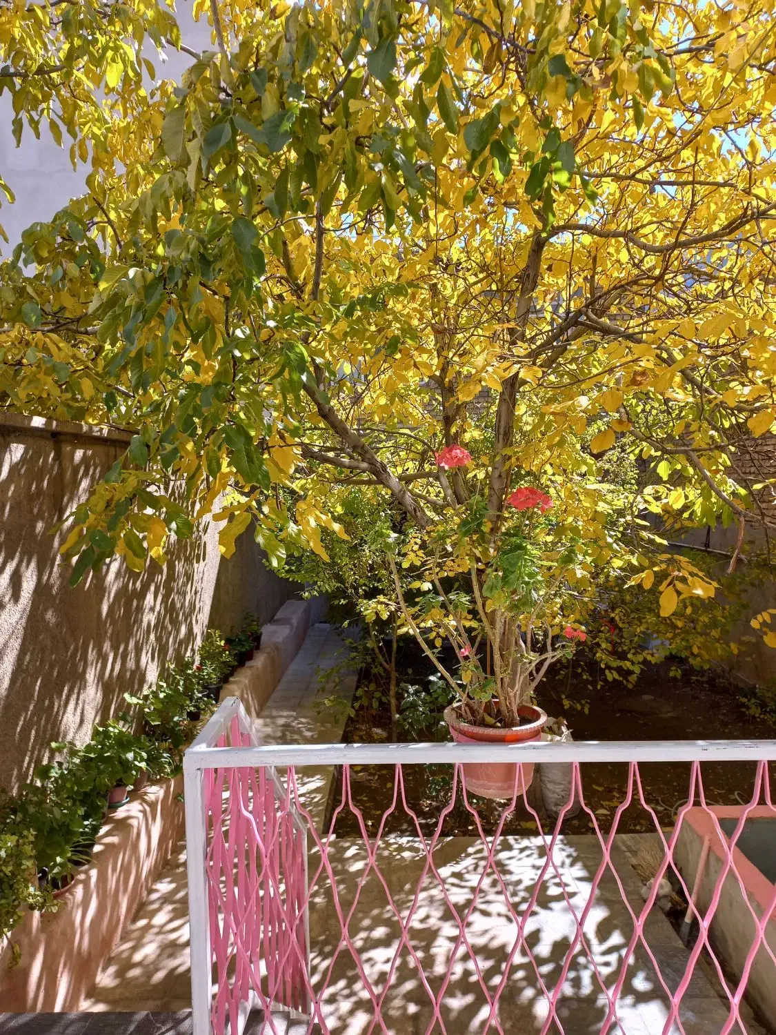 منزل حیاطدار روزانه هفتگی ماهانه خوانسار|اجارهٔ کوتاه‌مدت ویلا و باغ|خوانسار, |دیوار