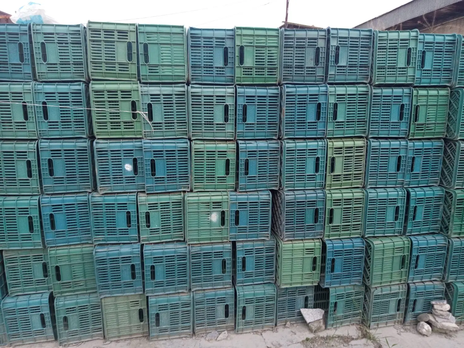 سبد|عمدهفروشی|بندر گز, |دیوار
