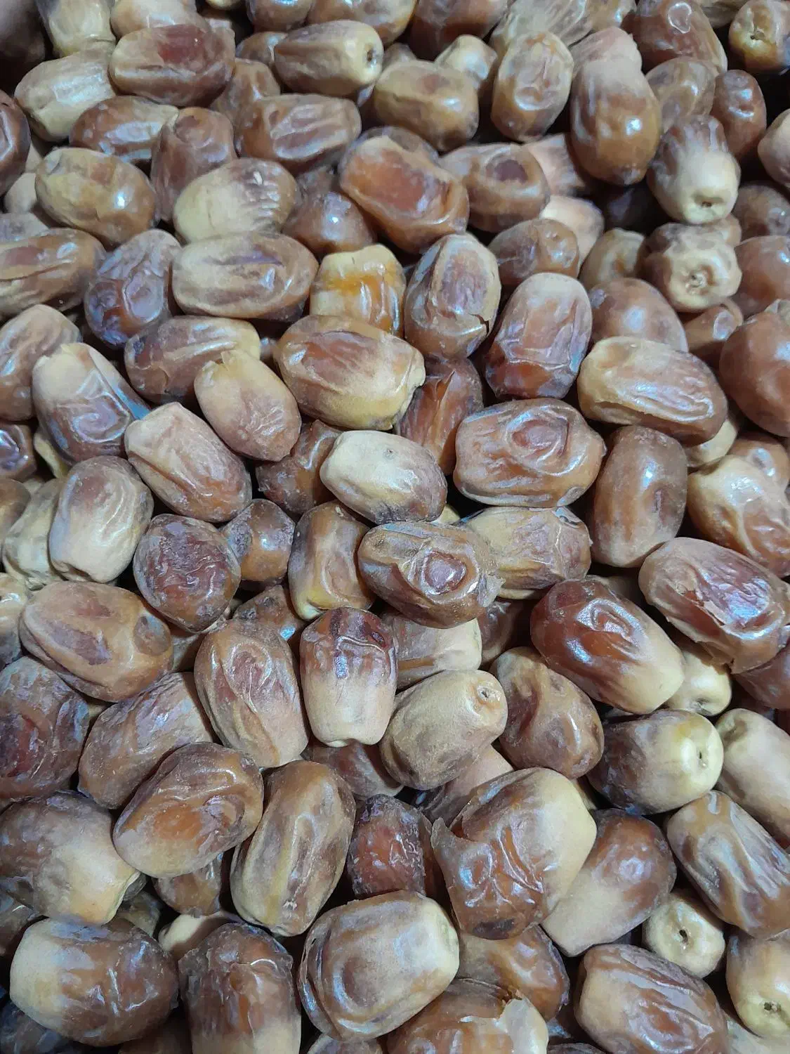 خرمایه زاهدی|خوردنی و آشامیدنی|افزر, |دیوار