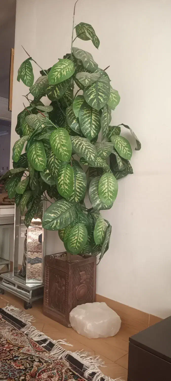 درخت مصنوعی|گل مصنوعی|خمینی‌شهر, |دیوار