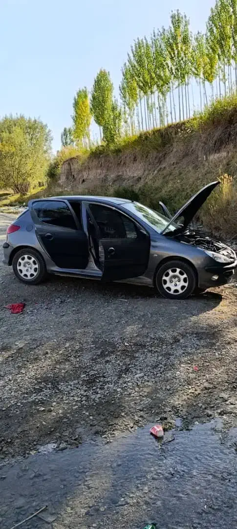 پژو206|خودرو سواری و وانت|سیلوانه, |دیوار