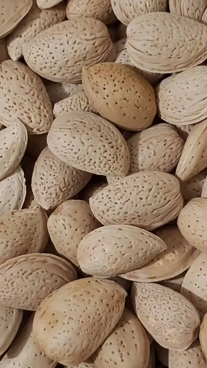 گردو بادام زمینی بادام درختی مغز گردو مویز کشمش|خوردنی و آشامیدنی|قم, باسکول|دیوار