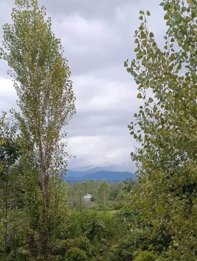 فروش ویلایی فلکه گاز|فروش خانه و ویلا|رشت, منظریه|دیوار