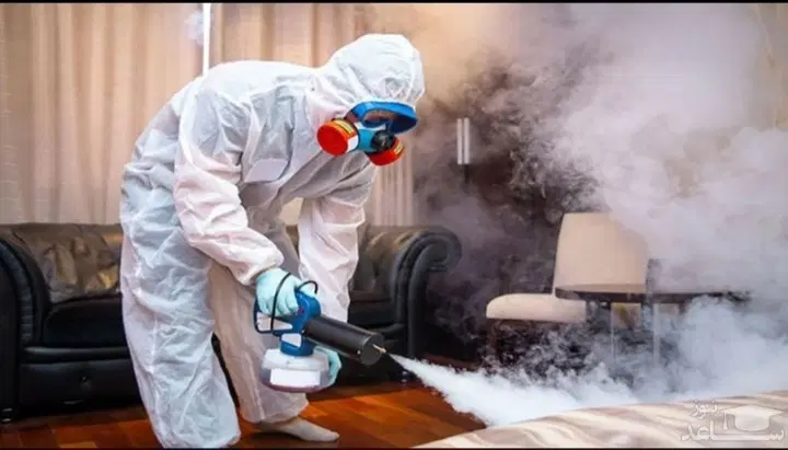 سم پاشی ساس سمپاشی سوسک حشرات ۱۰۰٪ تمام نقاط مشهد|خدمات نظافت|مشهد, امامیه (شهرک غرب)|دیوار