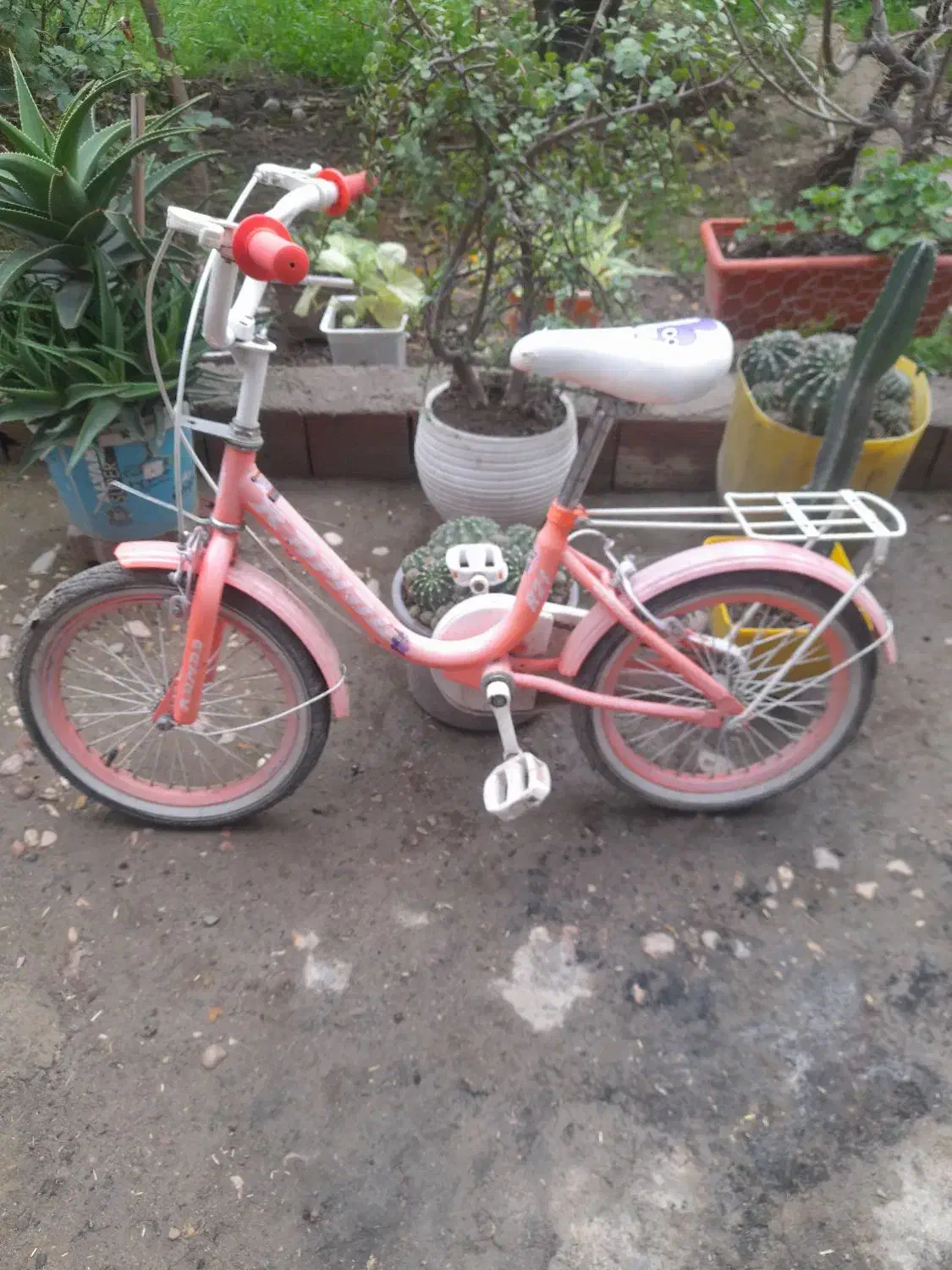 دوچرخه بچه گانه|دوچرخه، اسکیت، اسکوتر|گرگان, |دیوار