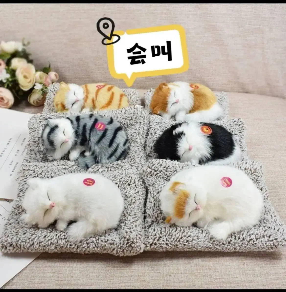 فروش اسباب بازی بدون واسطه|اسباب‌‌بازی|آمل, |دیوار